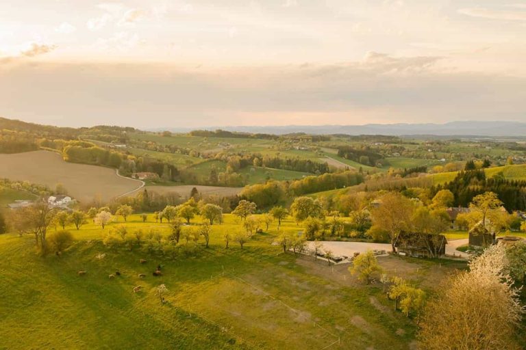 gutleder daniel 6 768x512