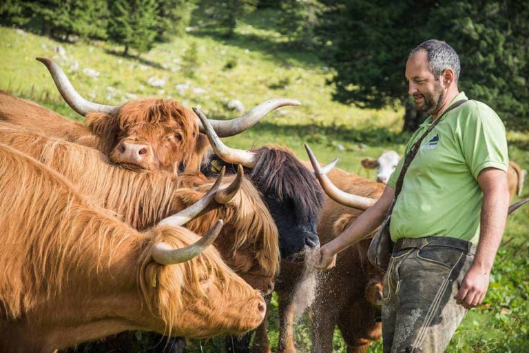 blamauer clemens 02 768x512