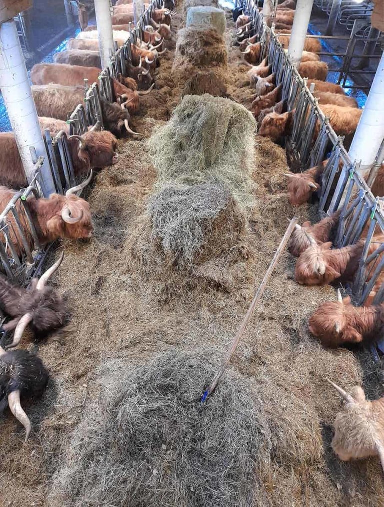 blamauer clemens 05 768x1015