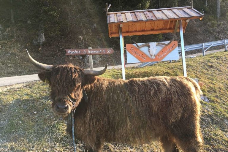 rappitsch ferdinand 1 768x512