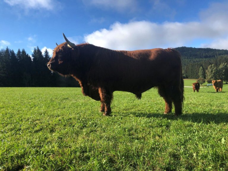 raunig rudolf 05 768x576