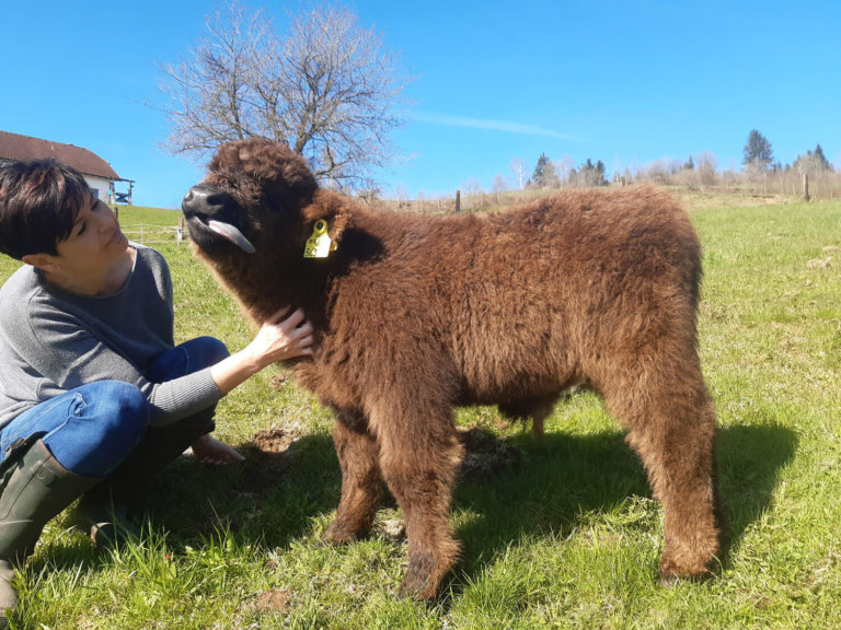 rockenschaub anna 03 768x576