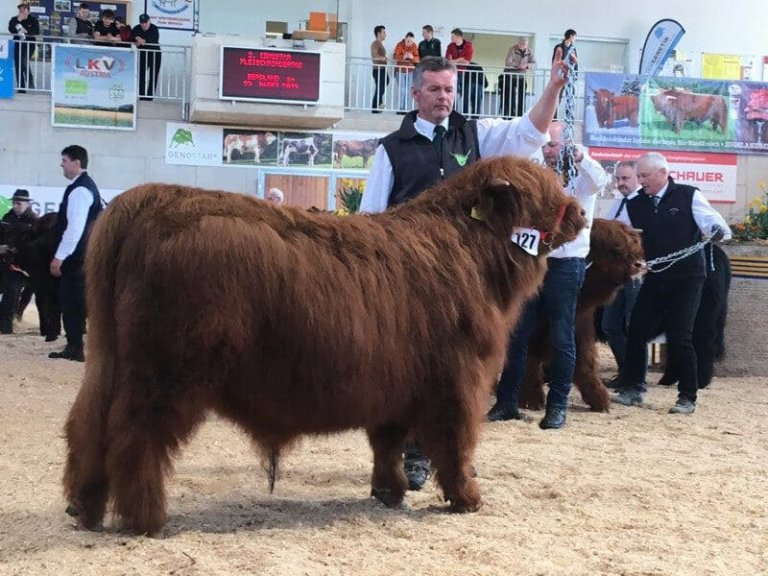 rockenschaub anna 05 768x576