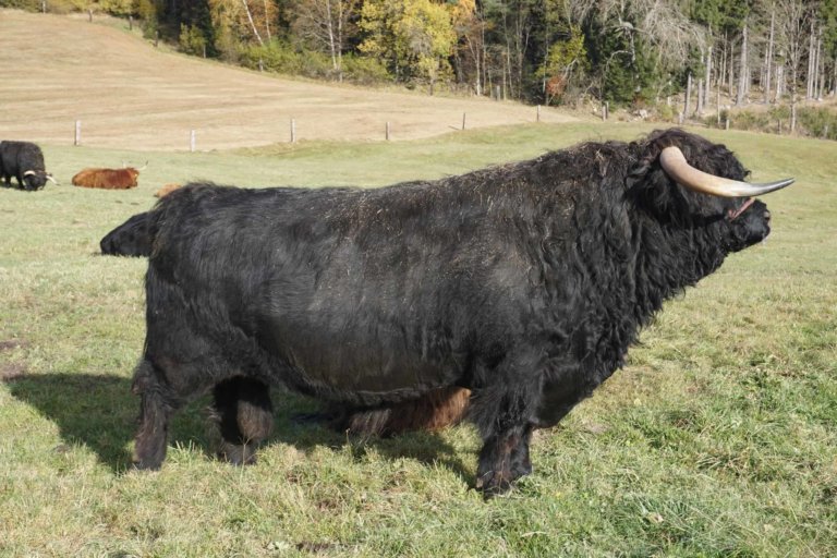 rockenschaub anna 07 768x512