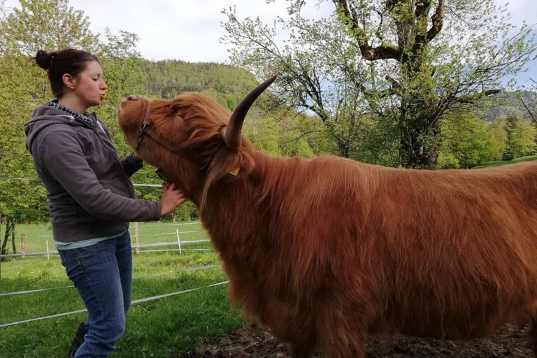 schoenauer josef 2 768x512