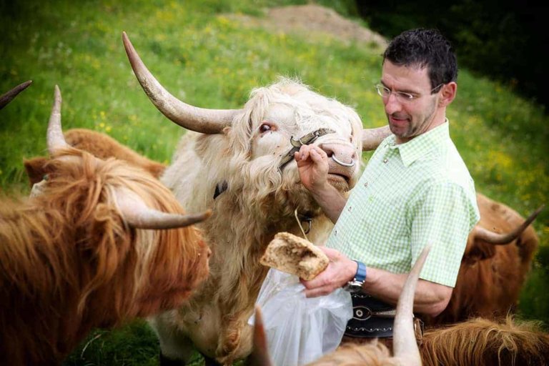 schwentner hans peter 2 768x512