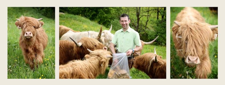 schwentner hans peter 6 768x289