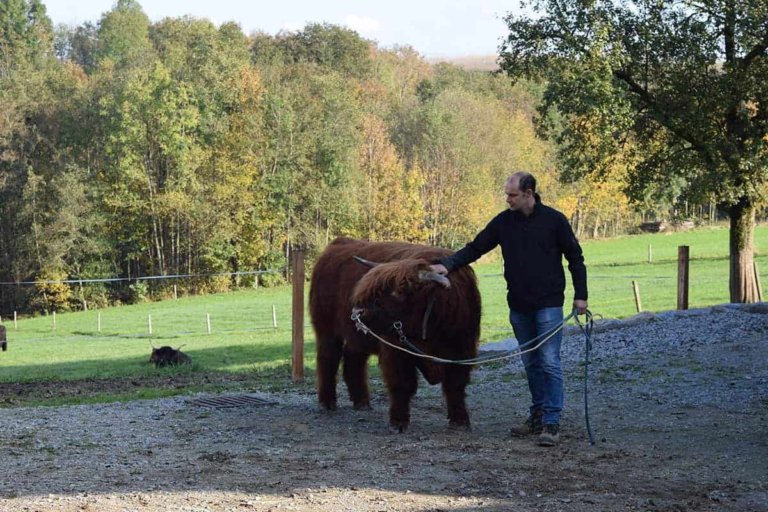 wiesinger guenther 3 768x512