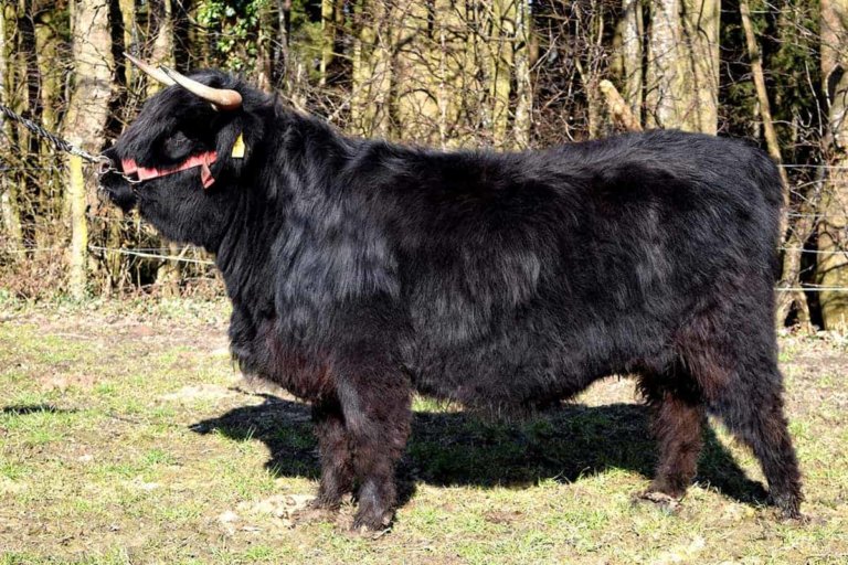 wiesinger guenther 5 768x512