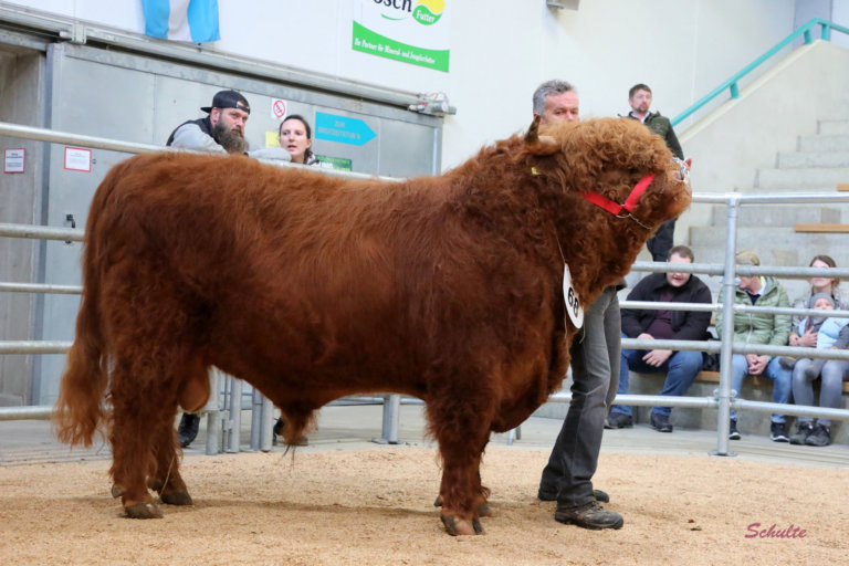 3. Bayerische Highland Cattle Show –                            3 Österreicher in Bayern