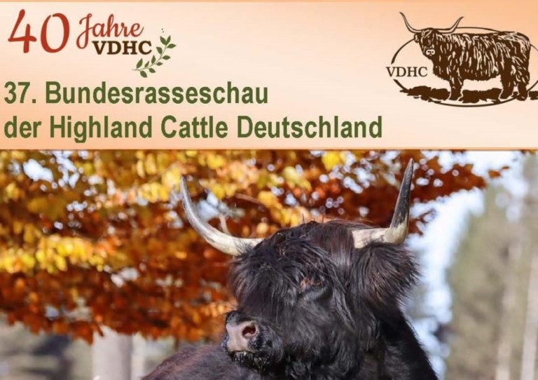 Ausflug der Vereinigung der Oberösterreichischen Hochlandrinderzüchter zur Bundesrasseschau 2023 in Alsfeld, Deutschland