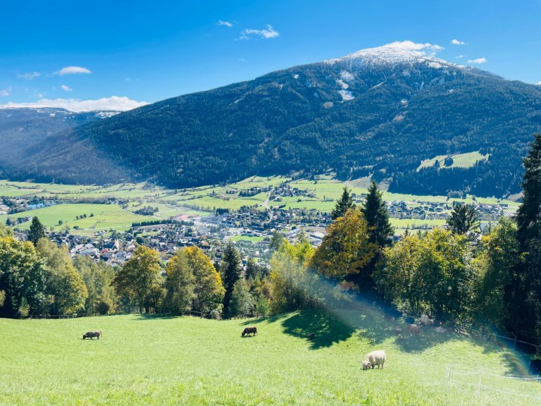 Sonnenschein beim Salzburger Zottltreffen am      6. Oktober 2024