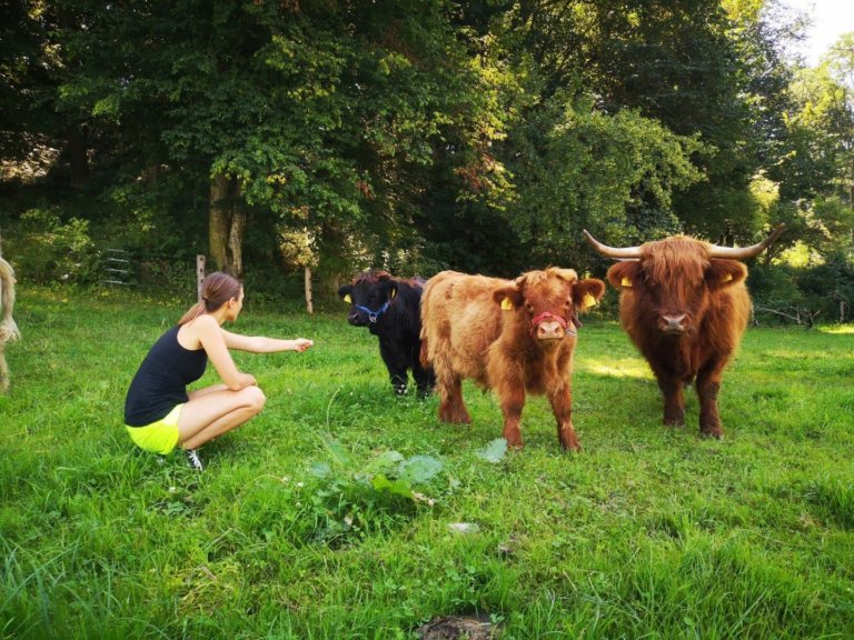 schoepps florian 03 768x576