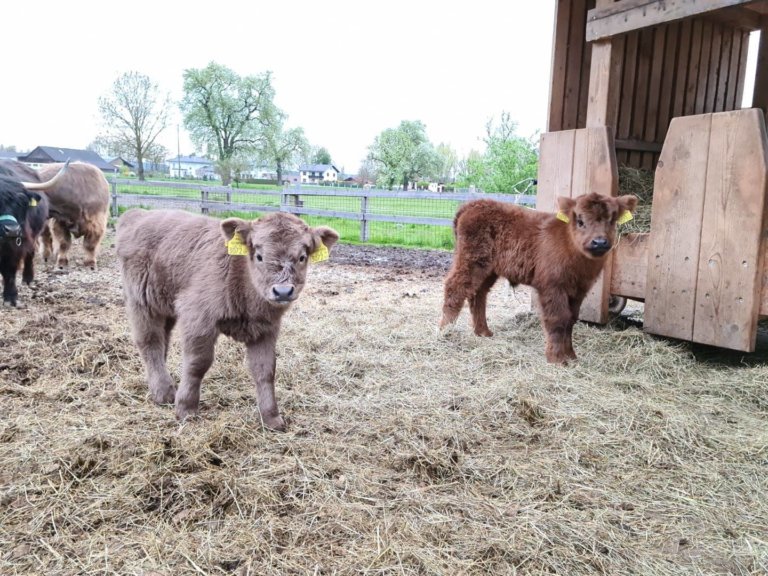 schoepps florian 07 768x576