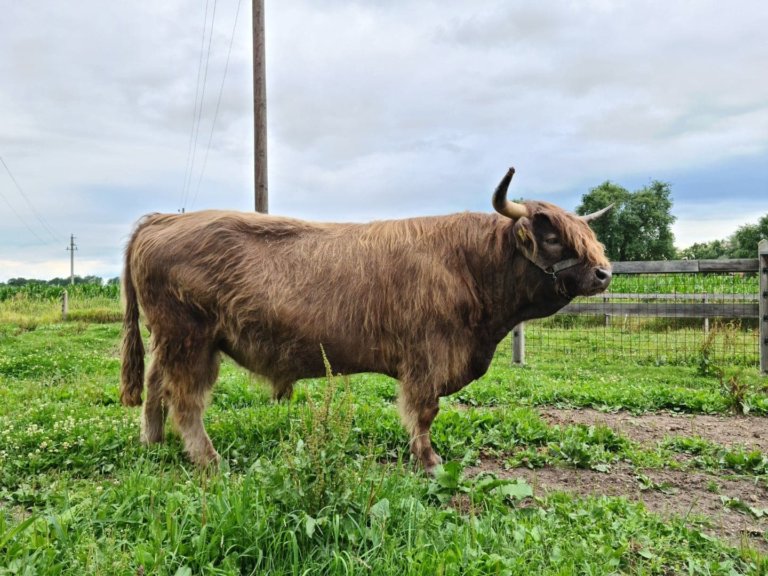 schoepps florian 08 768x576