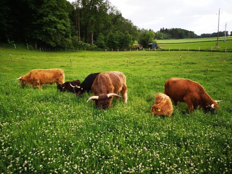 schoepps florian 09 768x576