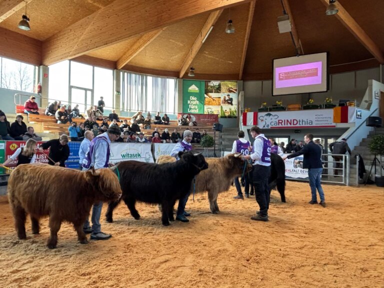 15. Kärntner Fleischrinderschau