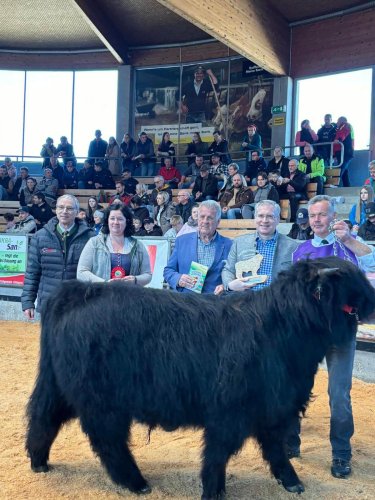 0bb7a869-9612-403e-bc96-84c7af521cd0