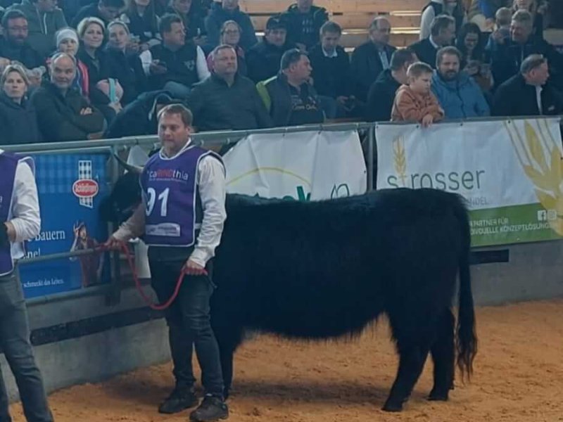 7fa24083-56e3-48e8-88c3-a3f25e3724c0